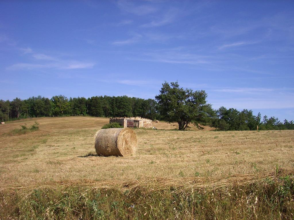 Bio Le Macchie Alte Alloggio per agriturismo Manciano